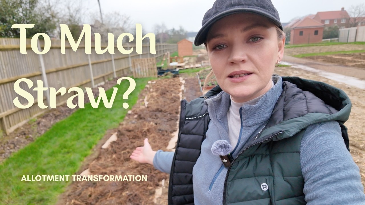 Allotment Plot Transformation | Weeding & Mulching With Horse Manure