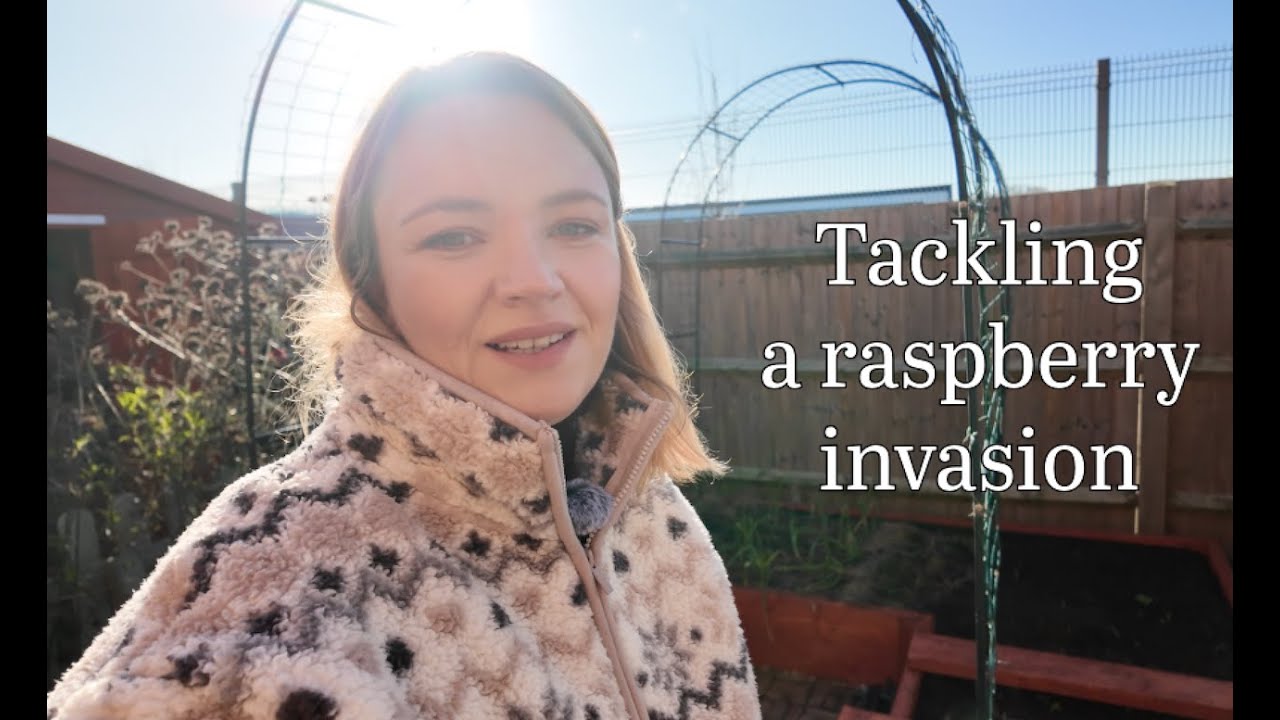 December Garden Tour 2025 - Winter Tasks and Raspberry Invasion