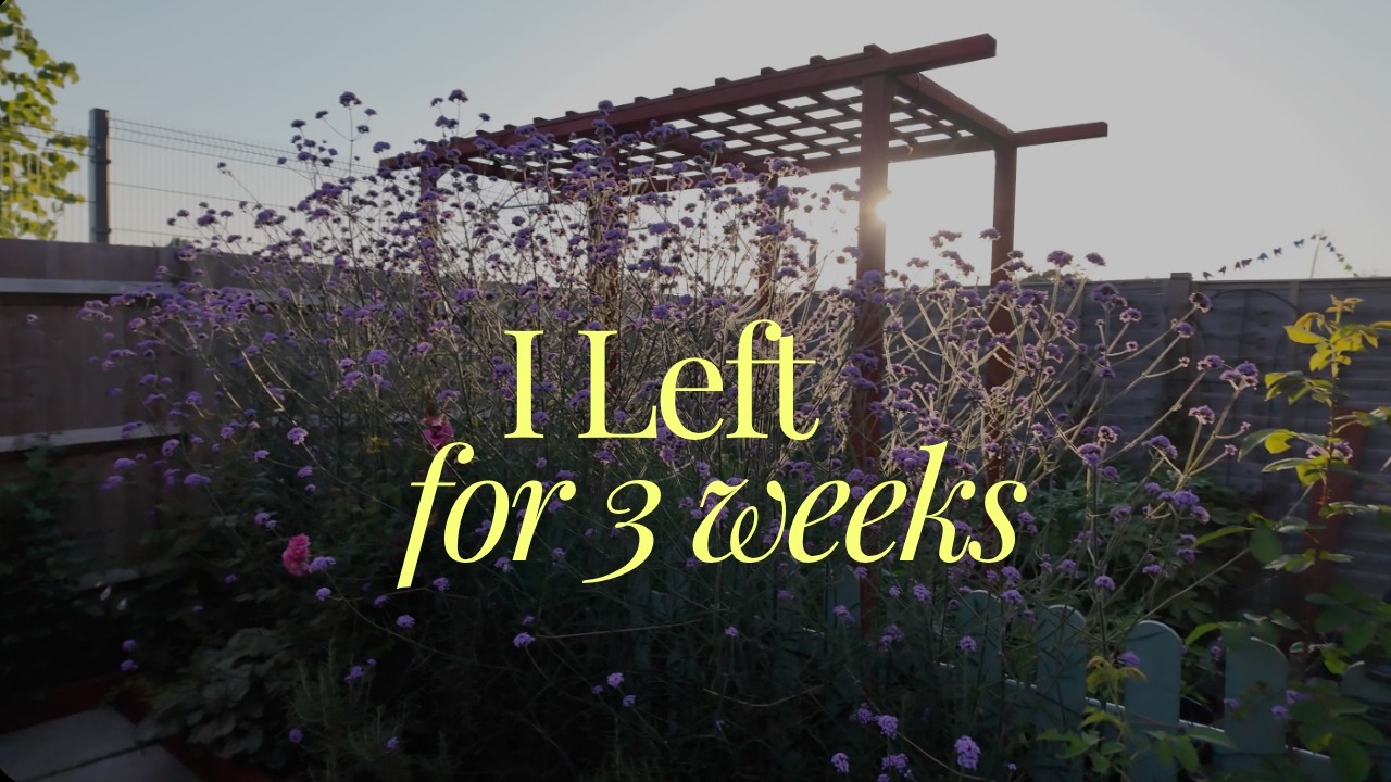 I Left My Garden for 3 Weeks... Guess What Happened?!